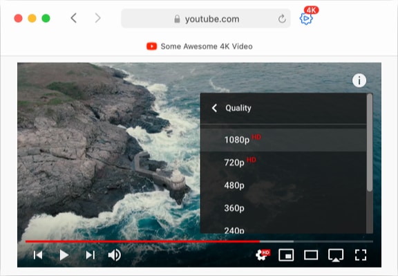 youtube safari video downloader extension